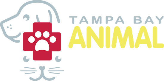 Logo - Tampa Bay Animal Hopsital Group